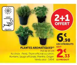 Hyper U Plantes aromatiques offre