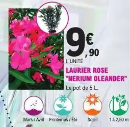 E.Leclerc LAURIER ROSE 'NERIUM OLEANDER' offre