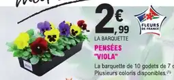 E.Leclerc Pensées Viola offre