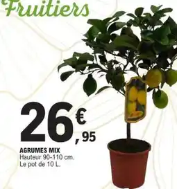 E.Leclerc Agrumes Mix offre