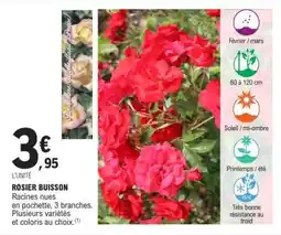 E.Leclerc Rosier buisson offre