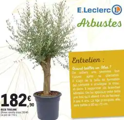 E.Leclerc OLEA TOSCANE offre