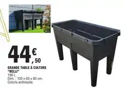 E.Leclerc GRANDE TABLE À CULTURE 'BELLI' offre