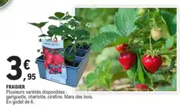 E.Leclerc Fraisier offre