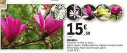 E.Leclerc Magnolia offre