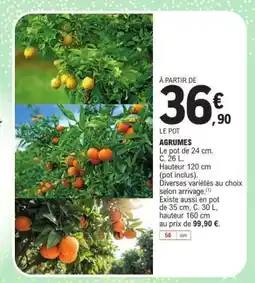 E.Leclerc Agrumes offre