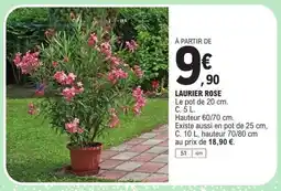 E.Leclerc Laurier rose offre