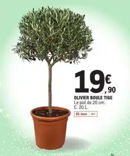 E.Leclerc OLIVIER BOULE TIGE offre