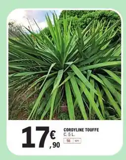 E.Leclerc CORDYLINE TOUFFE offre