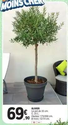 E.Leclerc Olivier offre