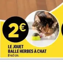 Centrakor Le jouet balle herbes à chat offre