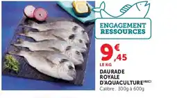 Hyper U Daurade royale d'aquaculture offre
