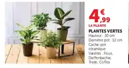 Hyper U Plantes vertes offre