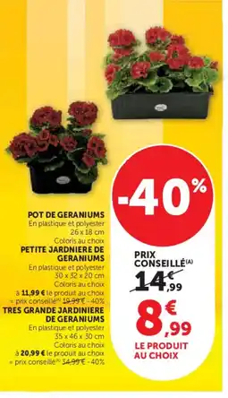 Hyper U Pot de geraniums offre