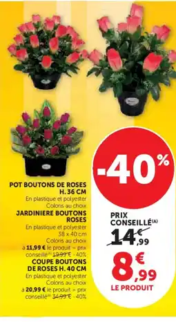 Hyper U Pot boutons de roses offre
