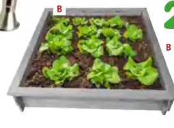 Provence Outillage Carré potager bois offre