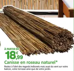 Provence Outillage Canisse en roseau naturel offre