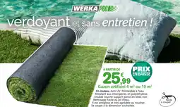 Provence Outillage WERKA PRO Gazon artificiel 4 m² ou 10 m² offre
