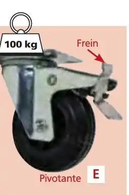 Provence Outillage WERKA PRO Roulette de manutention pivotante frein offre