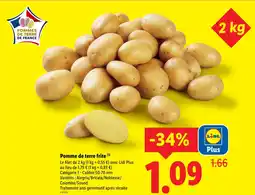 Lidl Pomme de terre frite offre