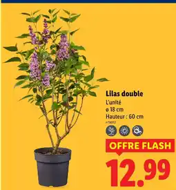 Lidl Lilas double offre