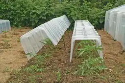 Jardiland Serre tunnel modulo 40 offre