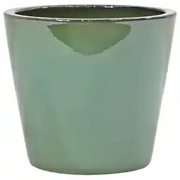 Jardiland Ecloz pot amazonia ecloz offre