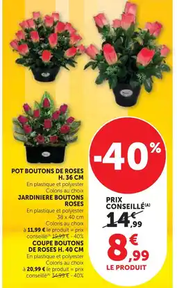 Super U Pot boutons de roses h. 36 cm offre