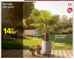 Carrefour Market Pop tulipe effet granit offre