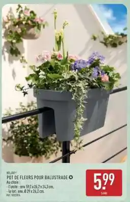 ALDI POT DE FLEURS POUR BALUSTRADE offre