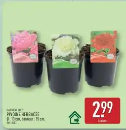 ALDI PIVOINE HERBACÉE offre