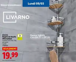 Lidl Livarno Étagère de douche télescopique offre
