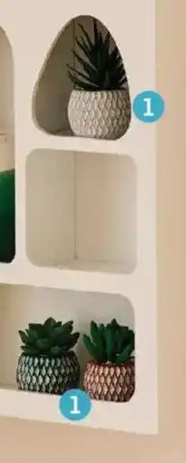 Auchan Plante artificielle actuel offre