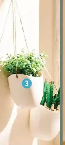 Auchan Suspension plante artificielle actuel offre