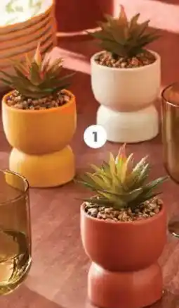 Auchan Plante artificielle auchan actuel offre