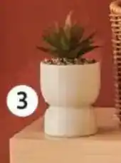 Auchan Plante artificielle actuel offre