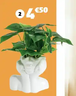 Gifi Pot avec plante offre