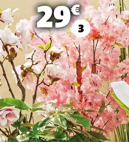 Gifi Cerisier japonais offre