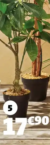 Gifi Arbre de la fortune offre