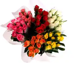 Auchan Sans marque bouquet 9 roses offre