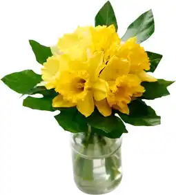 Auchan Supermarché Sans marque bouquet de 20 jonquilles offre