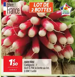 Netto Radis rose offre