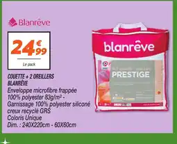 Netto BLANRÊVE Couette +2 oreillers offre