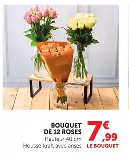 Bi1 Bouquet de 12 roses offre