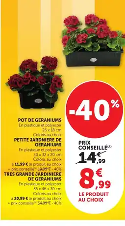 Bi1 Pot de geraniums offre