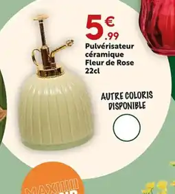Maxi Bazar Pulvérisateur céramique Fleur de Rose offre