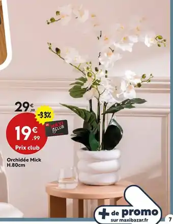 Maxi Bazar Orchidée Mick offre