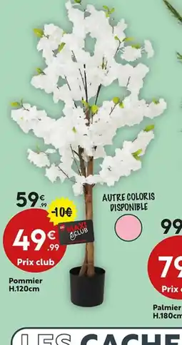 Maxi Bazar Pommier offre
