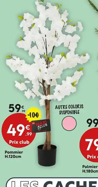 Maxi Bazar Pommier offre