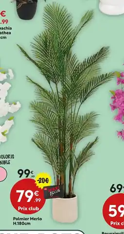 Maxi Bazar Palmier Merlo offre